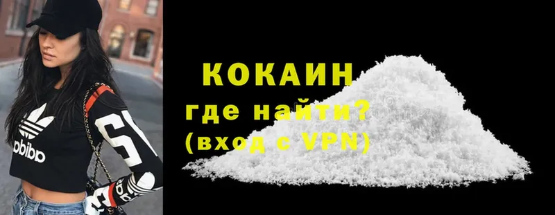 мега ТОР  купить  цена  Камешково  Cocaine 98% 